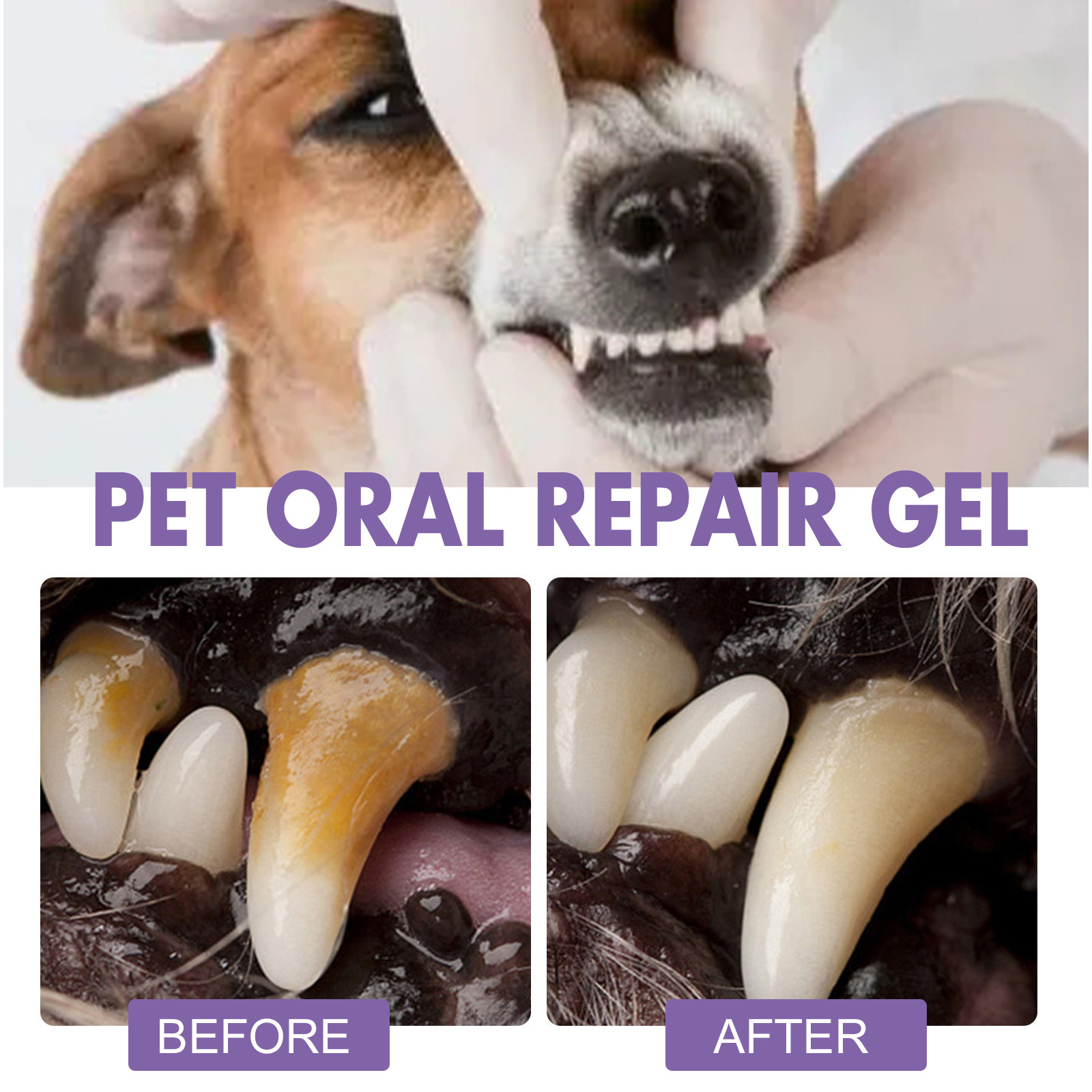 สัตว์เลี้ยง Oral Repair GEL Pu - Teeth Whitening Levels บทวิจารณ์และราคา